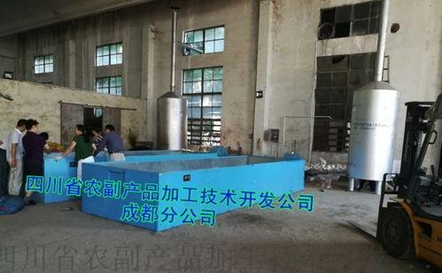 山楂(zha)幹燥(zao)設備(bei)技術(shu)開(kai)發(fa) 從傳(chuan)統(tong)晾(liang)曬到智(zhi)能(neng)化(hua)小型設備(bei)的(de)演(yan)進