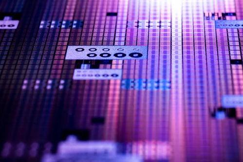 歐司(si)朗戰略(lve)入(ru)股bolb，深化(hua)UVC技術(shu)布局(ju)引領行(xing)業革(ge)新(xin)